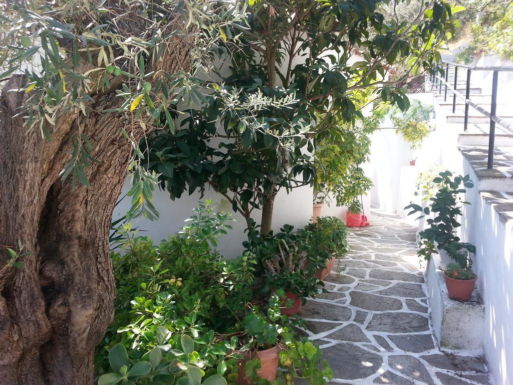 Adam'S House Apartment Achladies  ภายนอก รูปภาพ